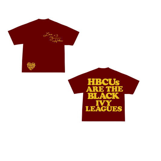 Bethune Cookman/Central State University - Statement Shirt